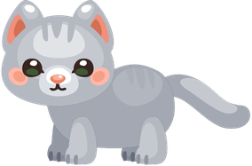 Silver Tabby Cat