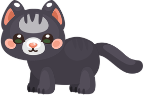 Tuxedo Cat
