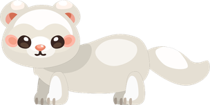 Albino Ferret