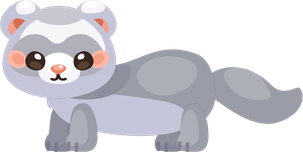 Silver Ferret