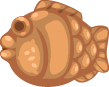 Marine Fish