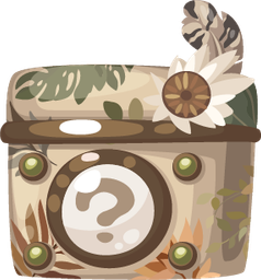 boho_bundle2