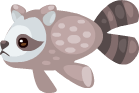 Raccoon Fish