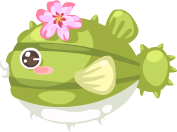 Cactus Fish