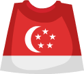 flag_shirt_SG