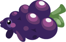 Fruits Grape Fish