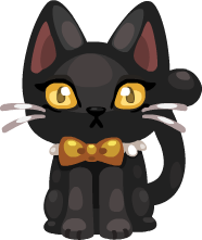hallo2022_cat