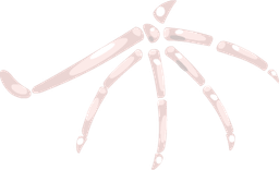 hallo2022_wings1