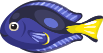 Tropical Fish