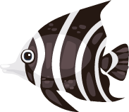 Tropical Fish
