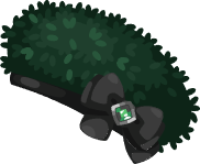 lolly_outfit5_hat