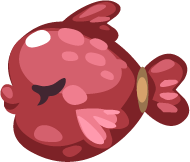 Lovely Valentine Rare Fish