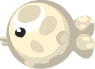 Moon Fish