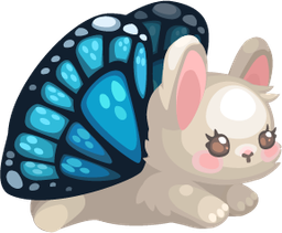 spring26_companion1